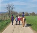 Veranstaltungsbild Rally mit dem Pferd durch Feld und Wald III